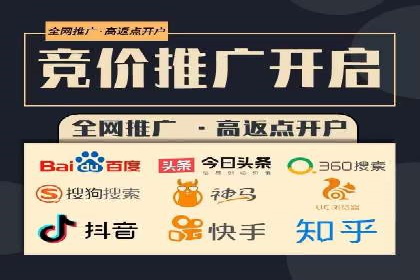 竞价排名与自然排名的对比案例